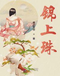 锦上珠是谁