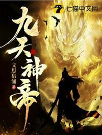 九天神帝诀免费阅读
